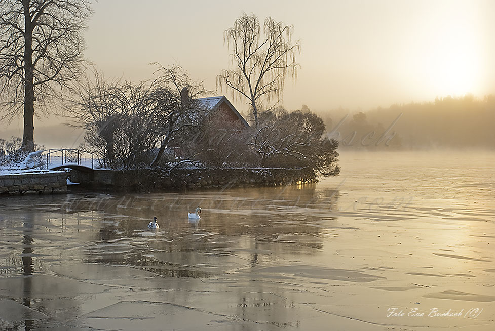 Foto av Eva Bucksch